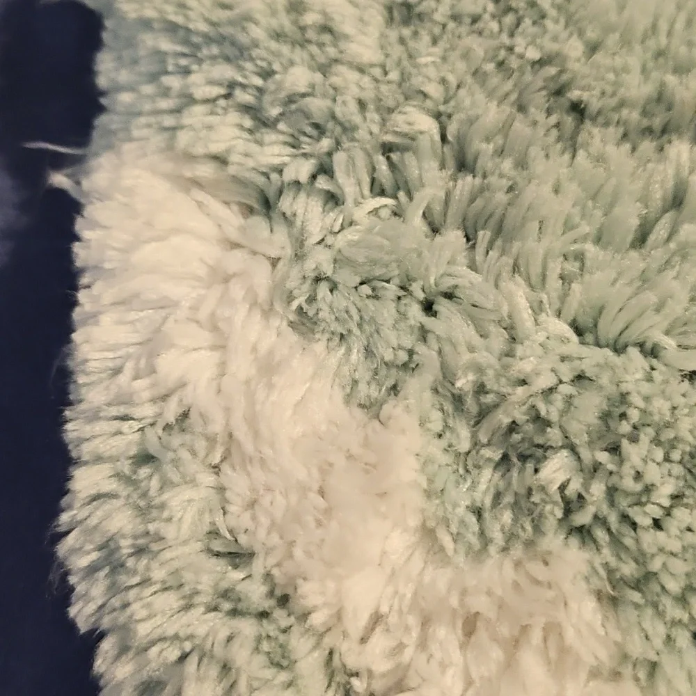 Apt. 9 Chevron Mint Green and White Bath Rug